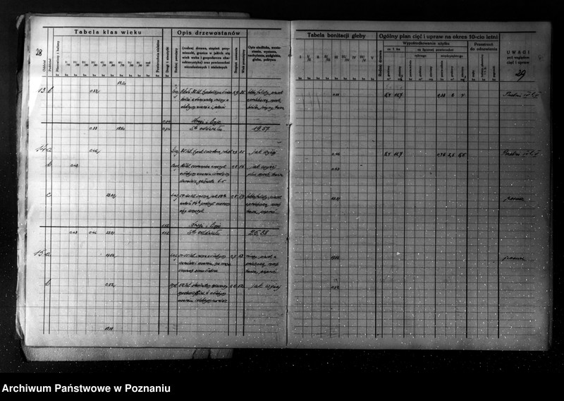 Obraz 19 z jednostki "/Plan urządzania gospodarstwa leśnego dla lasu majątku Turew powiatu kościańskiego 1933-1943/"