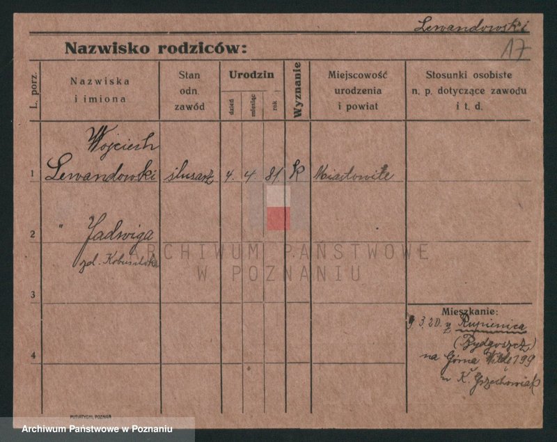 Obraz 17 z jednostki "Lewandowski (żonaci i wdowy)"