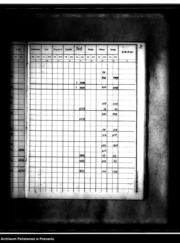 Obraz 7 z jednostki "Rejestr pomiarowy gminy Goszczanów powiat turecki"