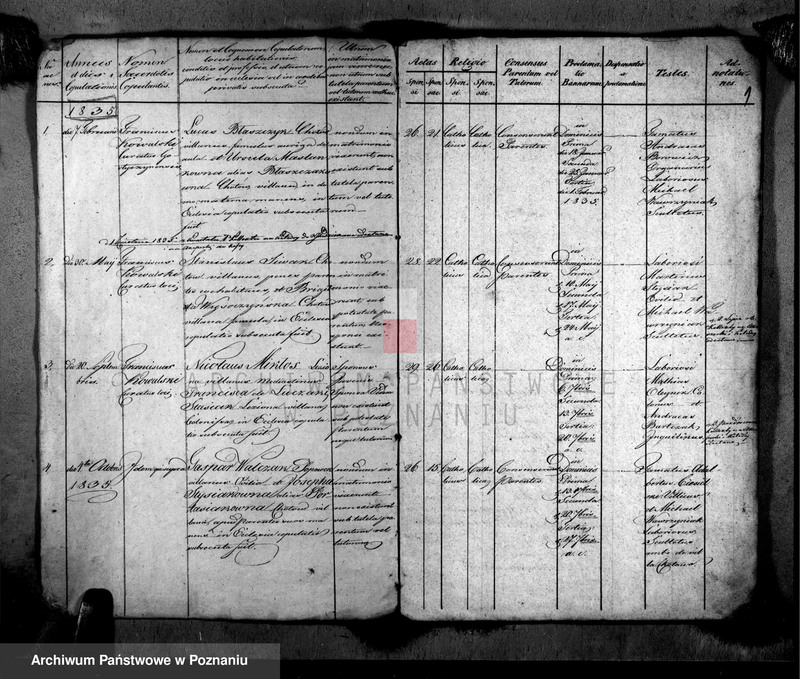 image.from.unit.number "Metrices copulatorum"