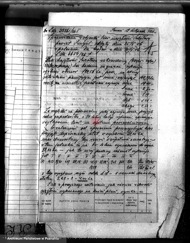 Obraz 9 z jednostki "Majętność leśna Sokołowice powiat kościański"