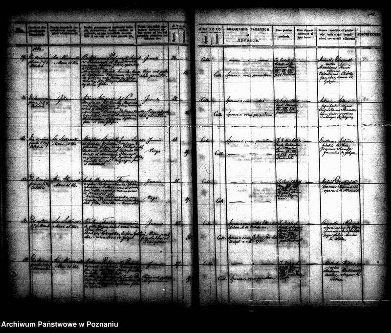 Obraz 10 z jednostki "Księga małżeństw"