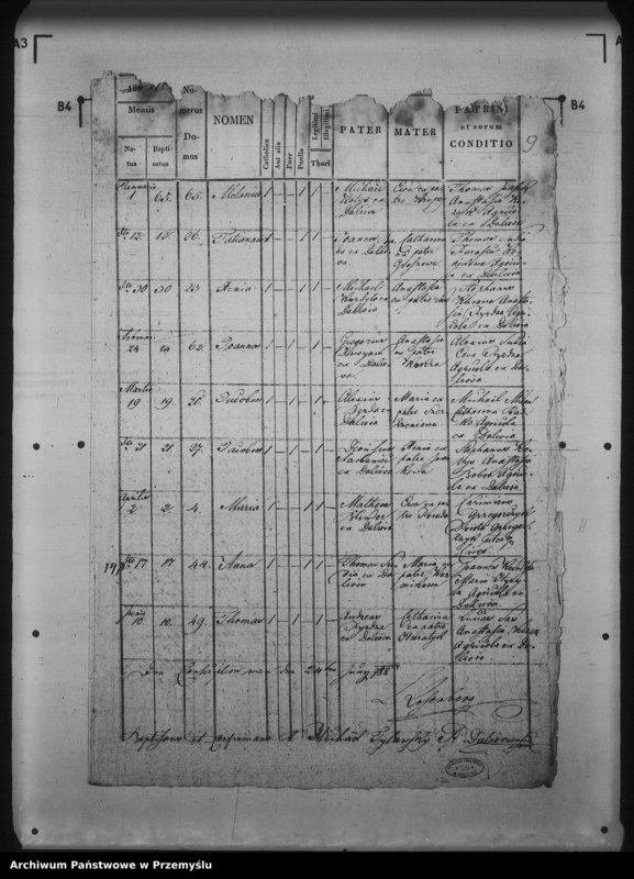 Obraz 13 z jednostki "[Kopie ksiąg metrykalnych parafii Daliowa z filią Szklary (dekanat Rymanów)]"