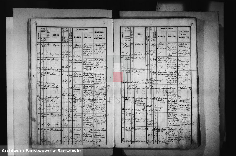image.from.unit.number "Księga urodzeń - Łąka"