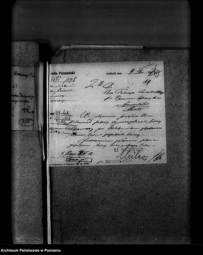 Obraz 15 z jednostki "Majętność leśna Wroniawy powiat wolsztyński"