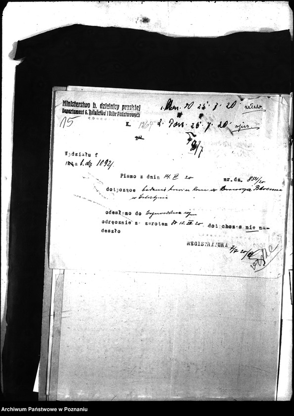 Obraz 19 z jednostki "Nosacizna - Wolsztyn"