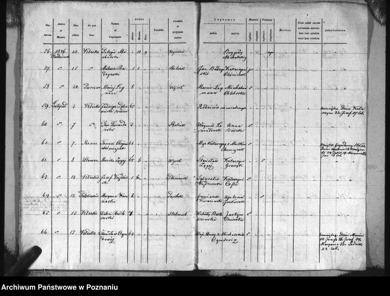 image.from.unit.number "Specyfikacja zmarłych"