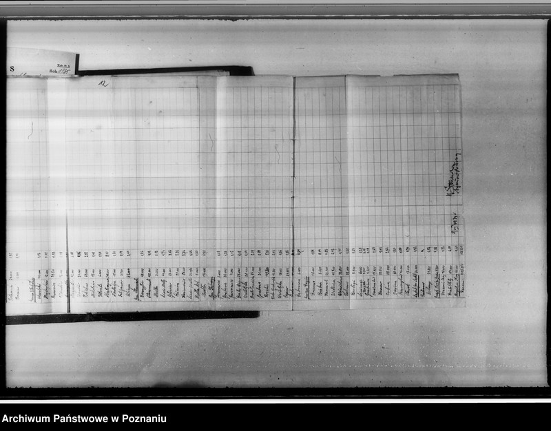 Obraz 17 z jednostki "Akta sprawy zalesienia nieużytków w powiecie konińskim"