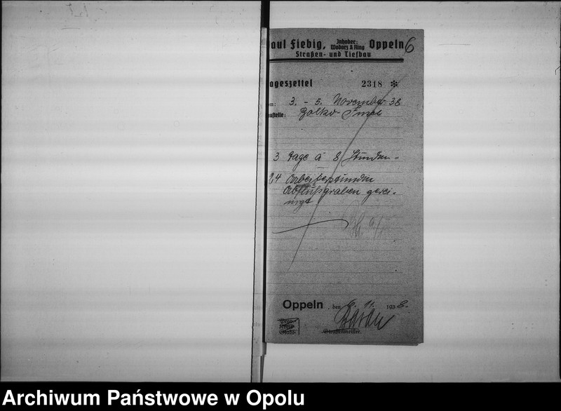 Obraz 8 z jednostki "[Budowa grobli i wałów na Bolko]"