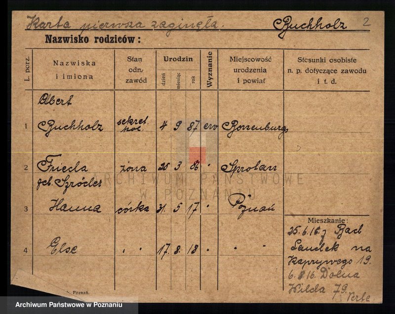 Obraz 4 z jednostki "Buchholz - Buczyński"