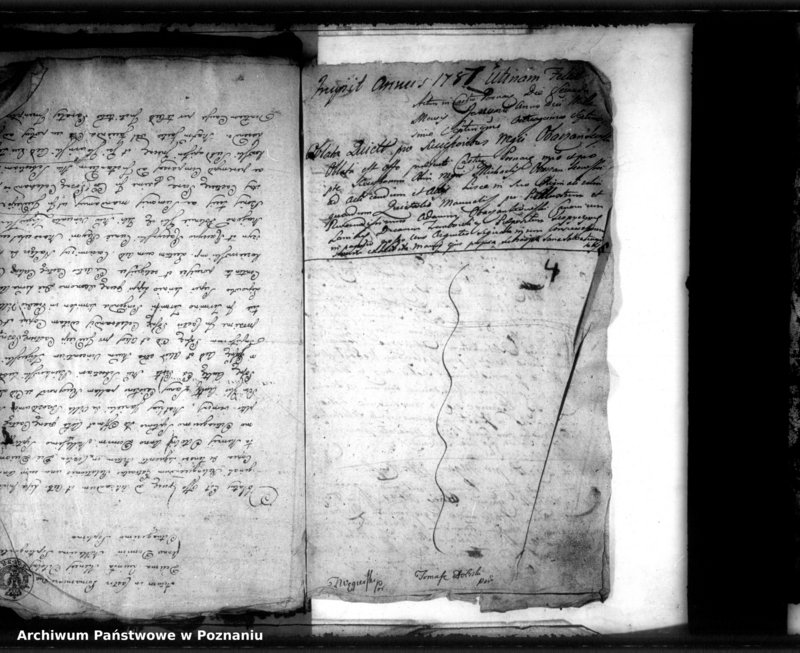 Obraz 7 z jednostki "Relationes [protocollon]"