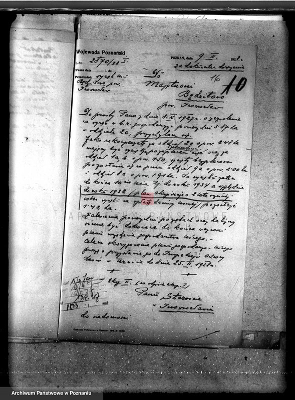 Obraz 20 z jednostki "Majętność leśna Będziłowo powiat inowrocławski"