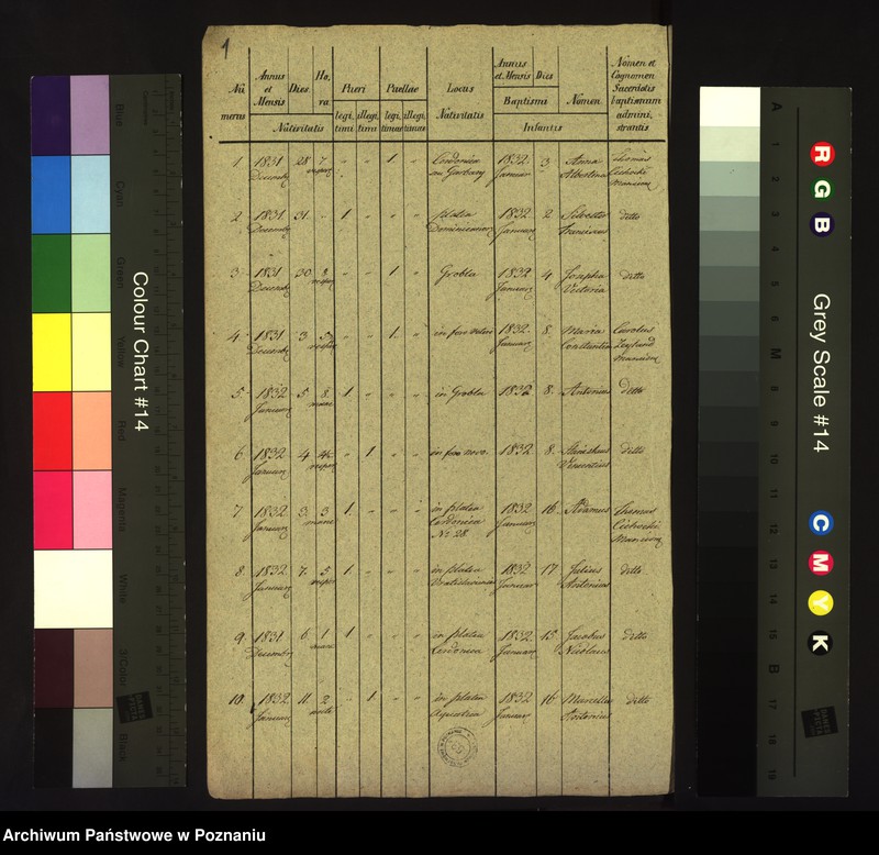 Obraz 3 z jednostki "Księga urodzin"