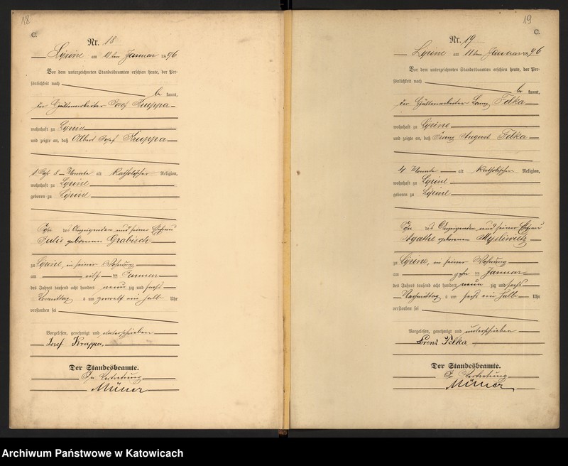 image.from.unit.number "Księga zgonów T.1 nr 1-356"