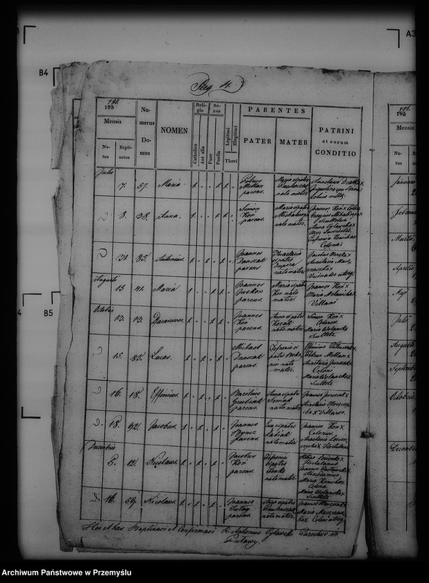 Obraz 8 z jednostki "[Kopie ksiąg metrykalnych parafii Puławy (dekanat Buków)]"