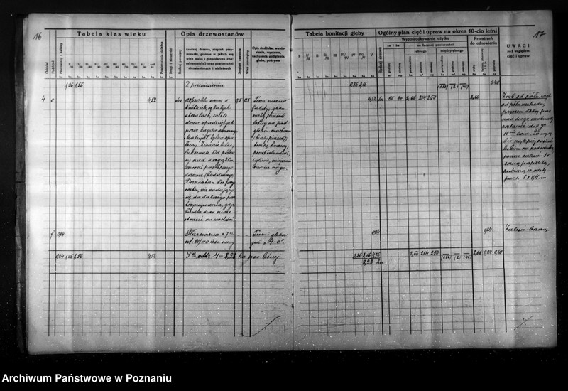 Obraz 13 z jednostki "Plan gospodarstwa leśnego dla lasu Jaegera Waltera gmina Zatom Nowy powiat międzychodzki 1933-1944"