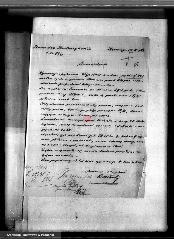 Obraz 10 z jednostki "Nadzór nad gospodarką w lasach majętności Torzeniec powiat kępiński"