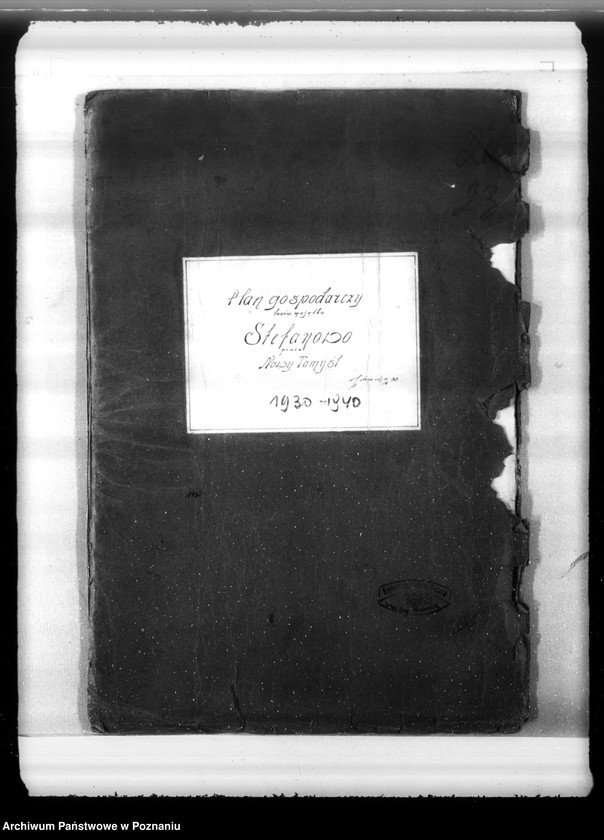 Obraz 4 z jednostki "Plan gospodarczy lasów majątku Stefanowo w powiecie nowotomyskim"