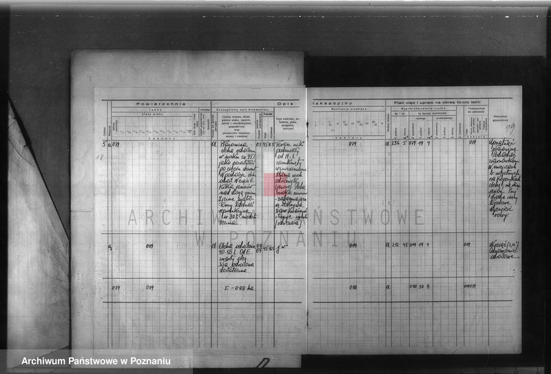 Obraz 20 z jednostki "Program urządzenia gospodarstwa leśnego dla lasu majętności Glinno powiat poznański 1938-1948"