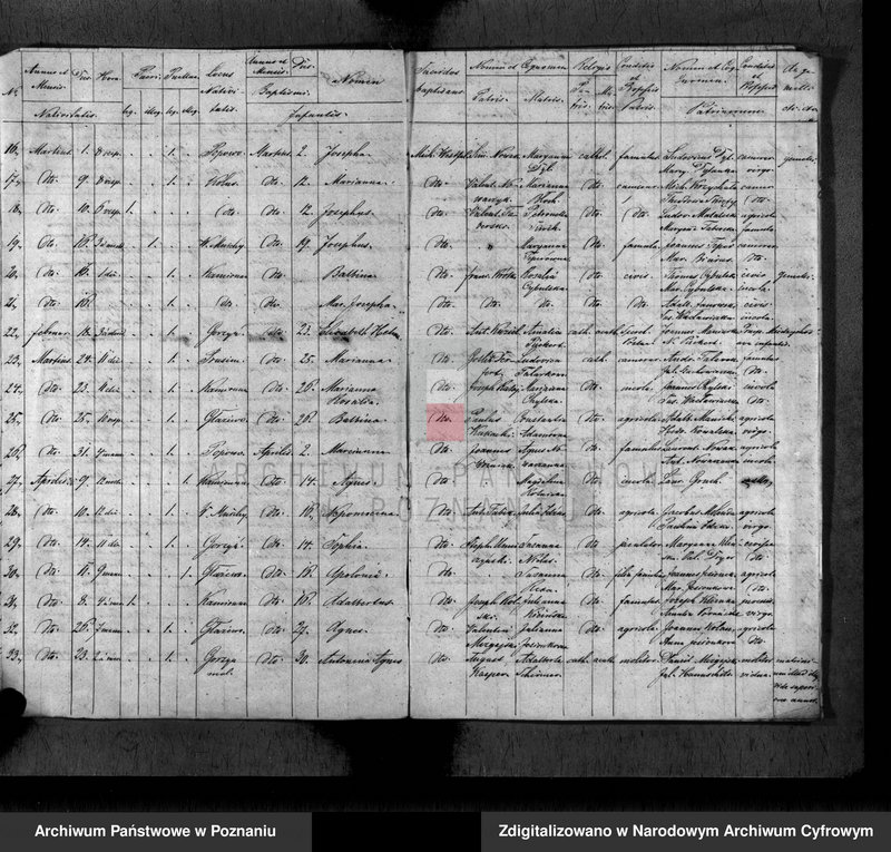 Obraz 7 z jednostki "Duplikat baptisatorum, copulatorum, mortuorum"