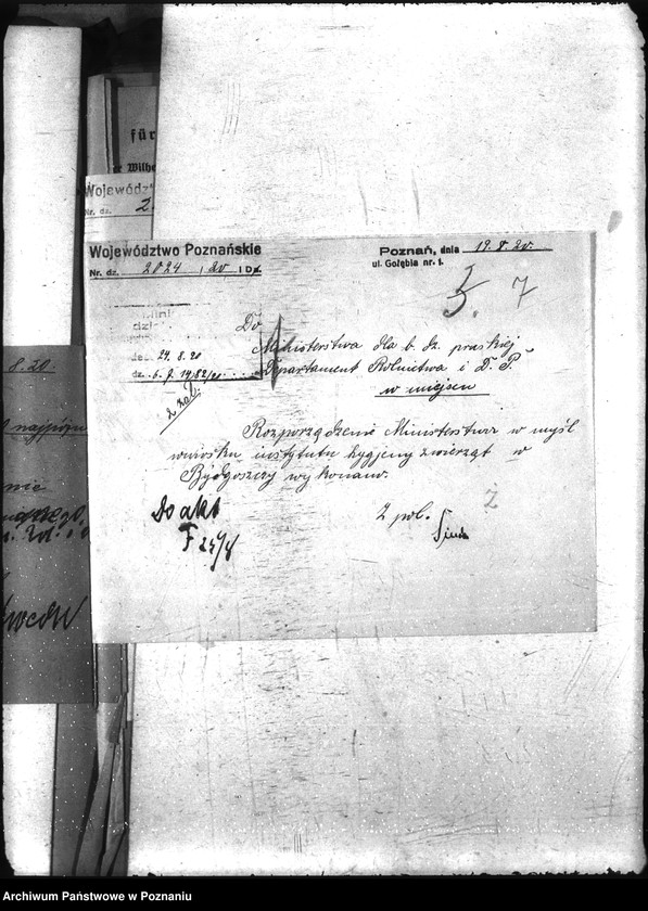 Obraz 11 z jednostki "Nosacizna - Kościan"