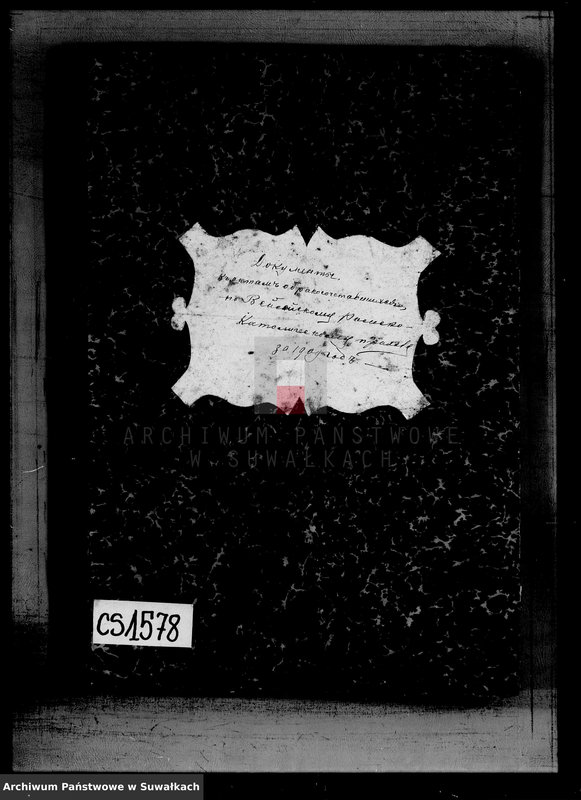 Obraz 3 z jednostki "Dokumenty k aktam o brakosočetavšichsja po Vejsejskomu Rimsko-Katoličeskomu Prichodu za 1909 god"