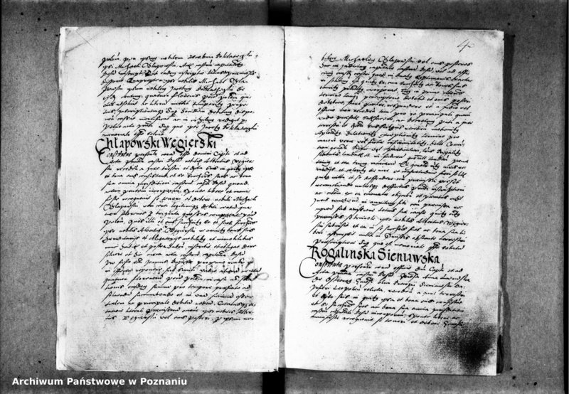 Obraz 8 z jednostki "Inscriptiones, relationes [inducta]"