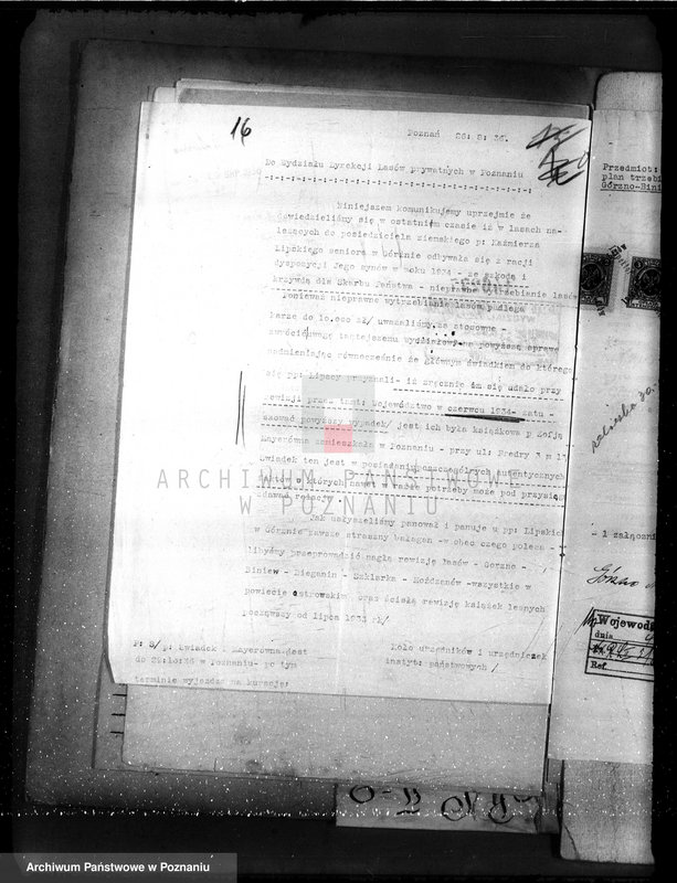 Obraz 20 z jednostki "Nadzór nad gospodarką w lasach majętności Gorzno-Biniew powiat ostrowski"