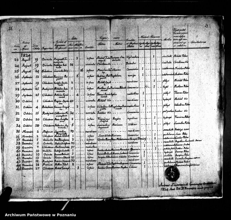 Obraz 15 z jednostki "Duplikat natorum, copulatorum, mortuorum"