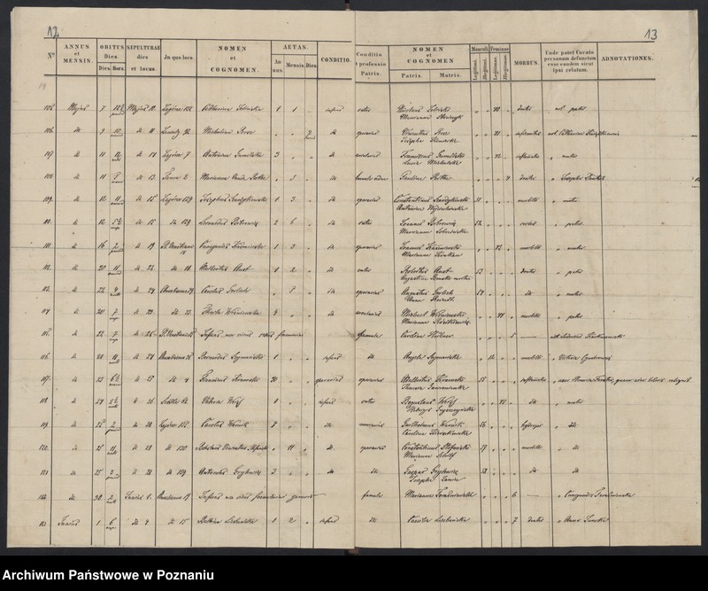 Obraz 9 z jednostki "Indeks zgonów"