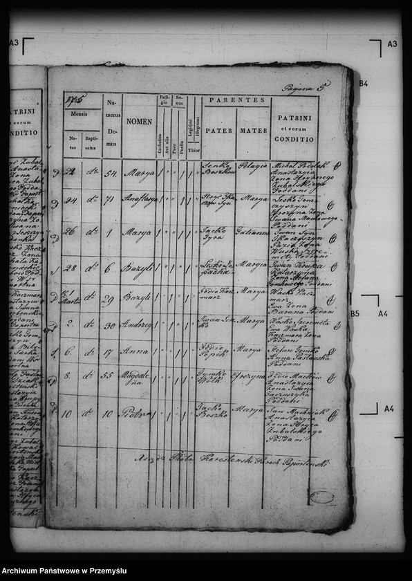 image.from.unit.number "[Kopie ksiąg metrykalnych parafii Paportno z filią Sopotnik i Kropiwnik (dekanat Dobromil)]"