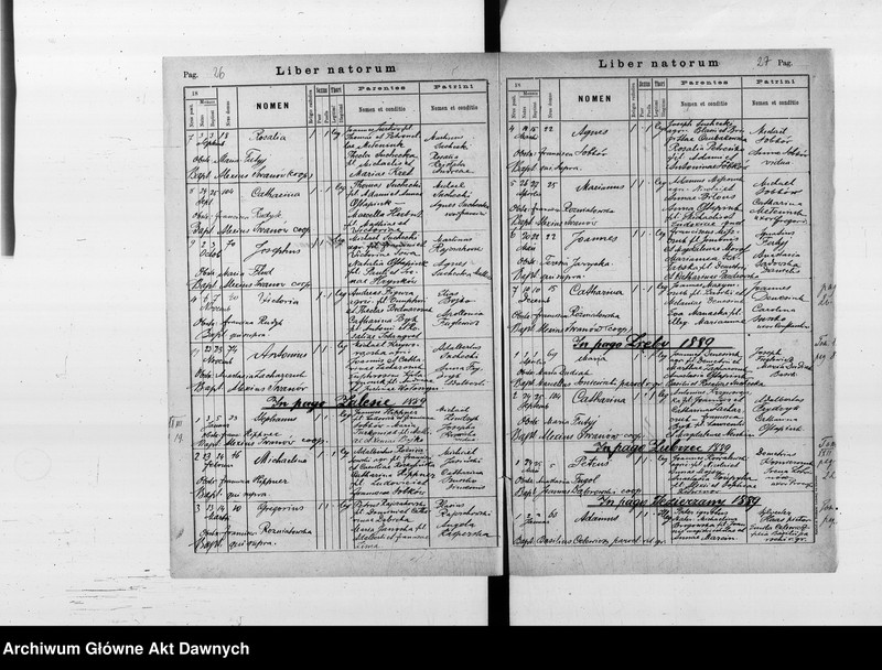 image.from.unit.number "Parafia: Barysz. Dekanat: Buczacz. Księga metrykalna urodzeń i ślubów 1889, 1891-1897, 1899 oraz zgonów 1889-1897, 1899 dla miasta Barysz i wsi: Puźniki*, Porchowa**, Weleśniów*, Zalesie Koropieckie*, Zrębówka (Zręby)*, Zubrzec**, Jezierzany, Wierzbiatyn."