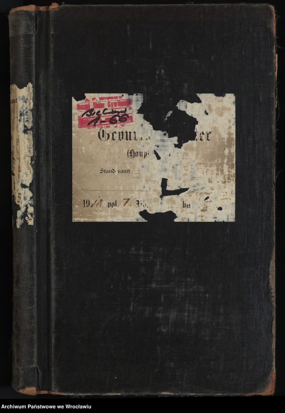 image.from.unit.number "Księga urodzeń Bielawa (Langenbielau) 1913"