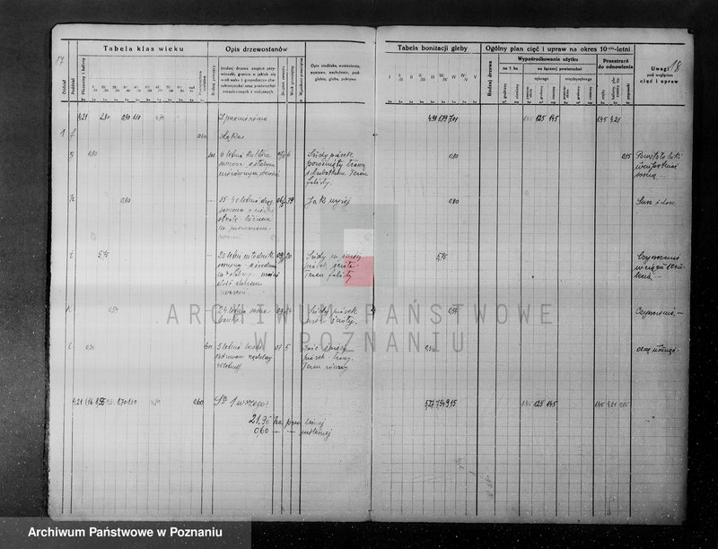 Obraz 20 z jednostki "/Nadzór nad gospodarką leśną w majętności Hutka w powiecie czarnkowskim"