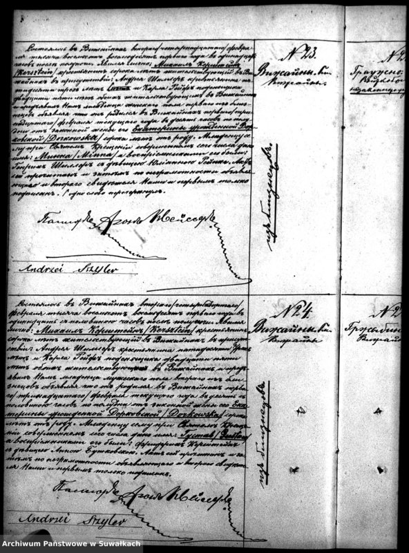image.from.unit.number "Duplikat Aktov Graždanskogo Sostojanija Vižajnskogo Evangeličesko-Augsburgskogo Prichoda o Rodivšichsja, Brakosočetavšichsja i Umeršich v 1881 g"