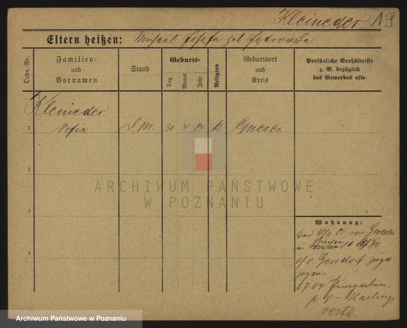 Obraz 19 z jednostki "Klajneder (Klein..) - Klapwyk"