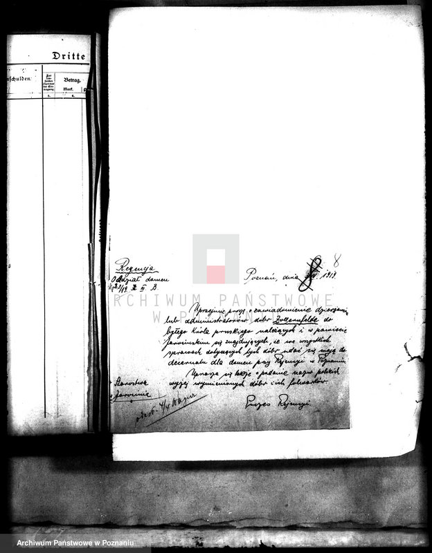 Obraz 12 z jednostki "Domena Żółków /sprawy administracyjne/"