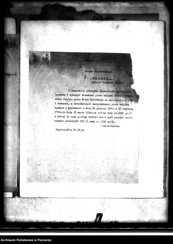 Obraz 13 z jednostki "Odprawy z art. 44 ustawy o wykonaniu reformy rolnej dla byłej służby folwarcznej z przymusowo wykupionej części majątku Kopojno powiatu konińskiego"