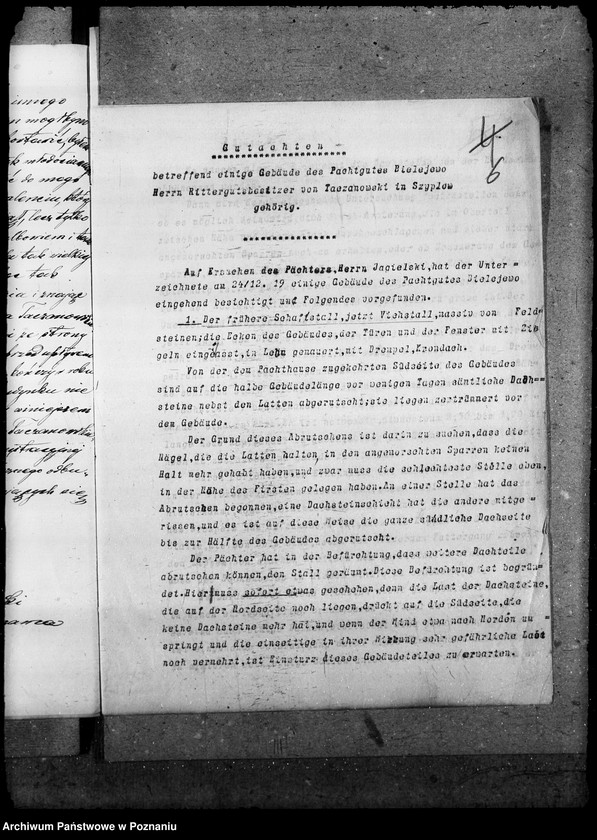 Obraz 10 z jednostki "Majątki zaniedbane"