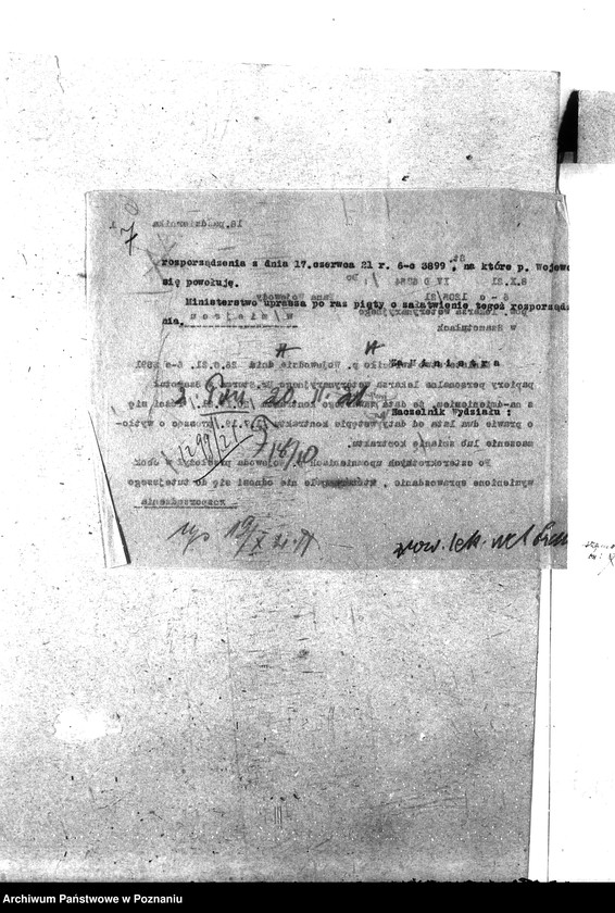 Obraz 11 z jednostki "Pow. lekarz Weterynaryjny Szamotuły"