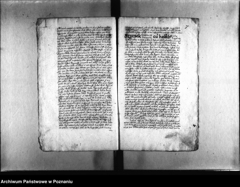 Obraz 11 z jednostki "Decreta [inducta]"