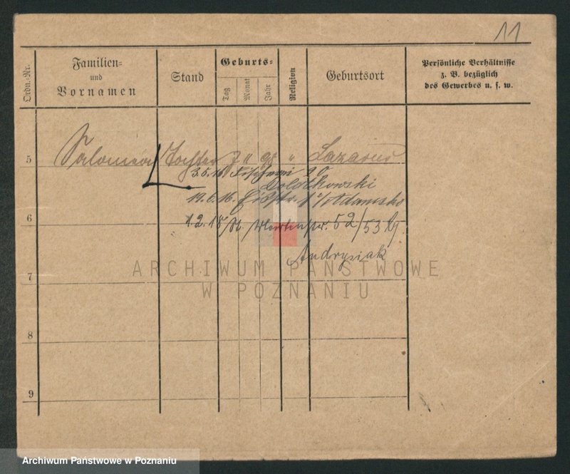 Obraz 11 z jednostki "Lewandowski (żonaci i wdowy)"