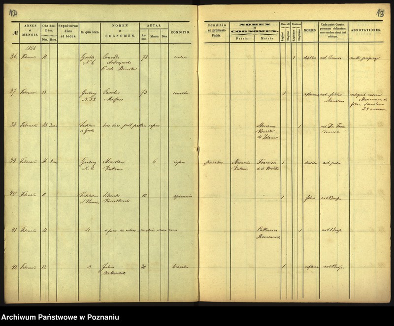 Obraz 9 z jednostki "Księga zgonów"