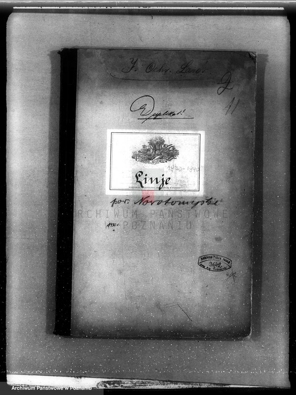 Obraz 4 z jednostki "Plan urządzenia gospodarstwa leśnego dla lasu majętności Lizie powiat nowotomyski"