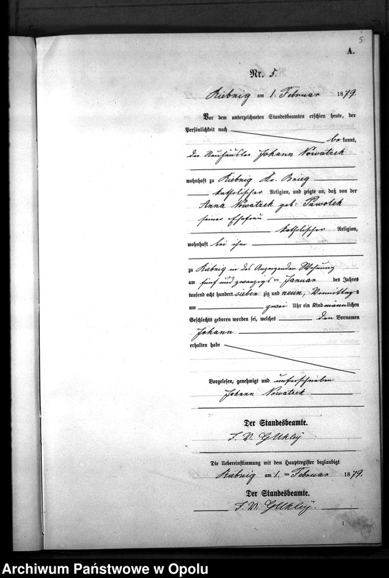 Obraz 8 z jednostki "Geburts-Neben-Register Standes-Amt Riebnig 1879"