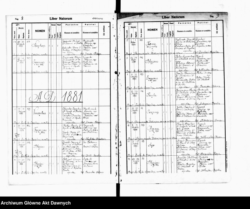 image.from.unit.number "Parafia: Grzymałów. Dekanat: Skałat. Księga metrykalna urodzeń dla wsi Ostapie*."