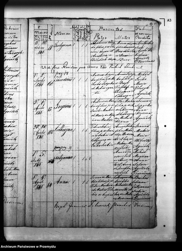 Obraz 17 z jednostki "[Kopie ksiąg metrykalnych parafii Prusiek z filią Sanoczek (dekanat Sanok)]"