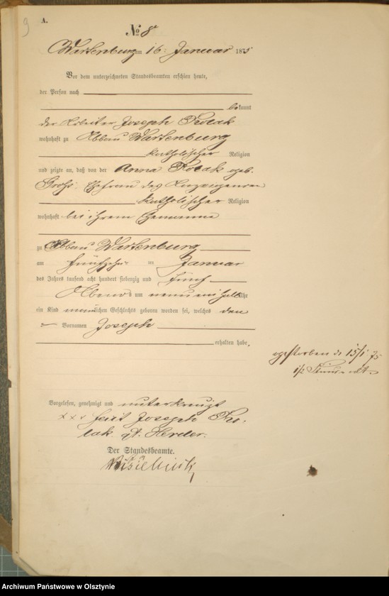 image.from.unit.number "Haupt-Geburts-Register Nr 1 - 199"