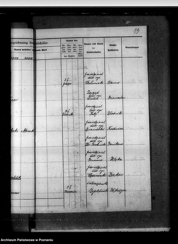 Obraz 17 z jednostki "Sprawy stadnin rozdział rządowych ogierów na stacjach"