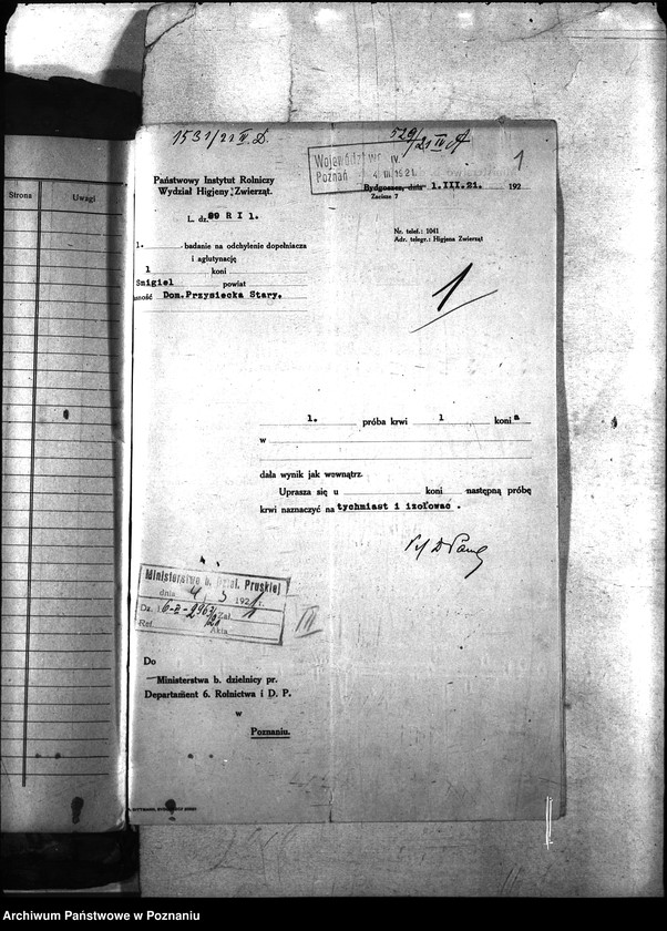 Obraz 5 z jednostki "Nosacizna - Śmigiel"